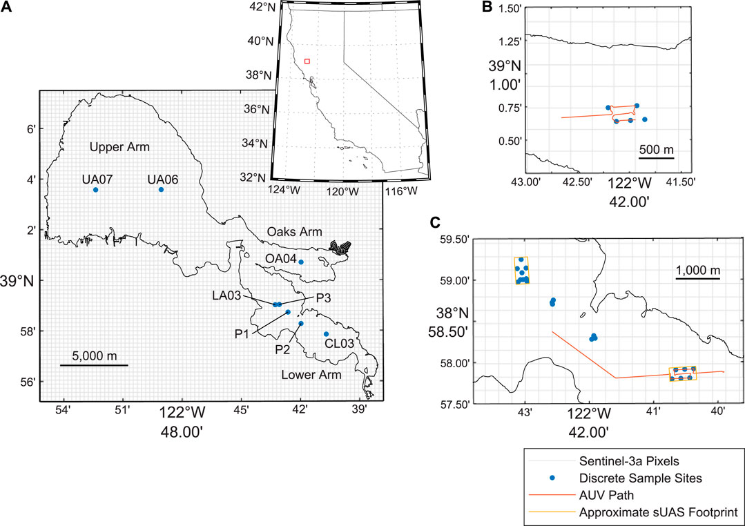 Quantifying Scales of Spatial Variability of Cyanobacteria in a Large, Eutrophic Lake Using Multiplatform Remote Sensing Tools